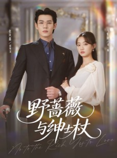 短剧《野蔷薇与绅士杖》78集短剧免费观看全集不卡顿