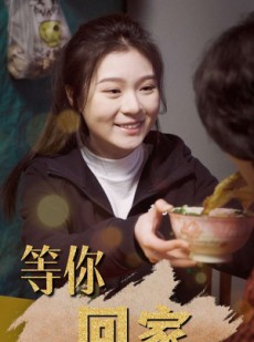 短剧《等你回家》80集短剧手机移动端便捷观看