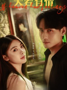 短剧《天若有情》83集短剧超清画质免费追完