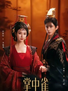 短剧《掌中雀》80集短剧完整版免费观看