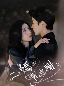 短剧《二婚有点甜》88集短剧全集高清手机在线观看