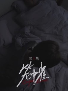 短剧《笼中雀》45集短剧全集抢先看无需会员
