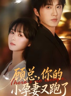 短剧《顾总，你的小孕妻又跑了》47集短剧在线畅享全集观看