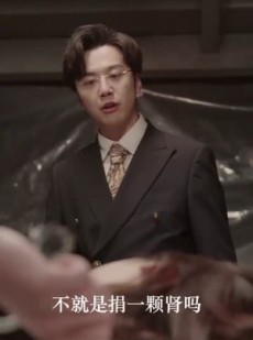 短剧《红玫瑰》30集短剧高清流畅在线免费看