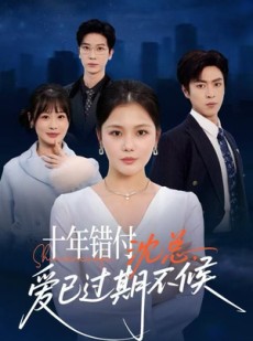 短剧《十年错付：沈总，爱已过期不候》51集短剧高清流畅在线观赏