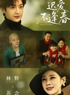 短剧《迟爱不逢春》62集短剧在线观看全集不卡顿