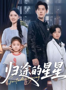 短剧《归途的星星》100集短剧4K超清画质免费畅享