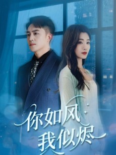 短剧《你如风我似烬》72集短剧高清无删减版免费观看