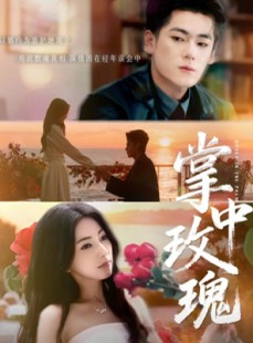 短剧《掌中玫瑰》60集短剧1080P高清在线看