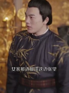 短剧《他的东宫意难平》85集短剧蓝光画质完整版在线看