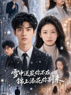 短剧《雪中送炭你不在，锦上添花你别来》60集短剧一键解锁全集观看