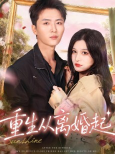 短剧《重生从离婚起》64集短剧超清全集免费在线看