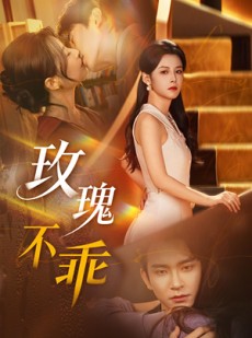 短剧《玫瑰不乖》69集短剧全集免费在线追