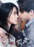 短剧《情网引君》68集短剧高清全集PC端免费看