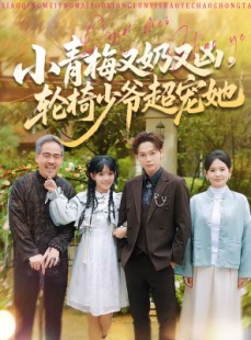 短剧《小青梅又奶又凶，轮椅少爷超宠她》90集短剧全集在线免费看全集