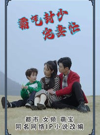 短剧《霸气封少宠妻忙》80集短剧全集资源一键解锁观看