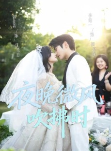 短剧《夜晚微风吹拂时》61集短剧全集免费在线追