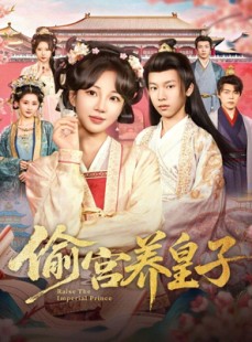 短剧《偷宫养皇子》85集短剧无广告高清全集观看