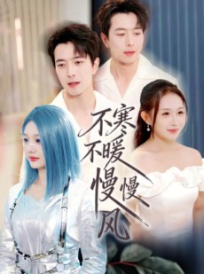 短剧《不寒不暖慢慢风》70集短剧在线免费观看大结局