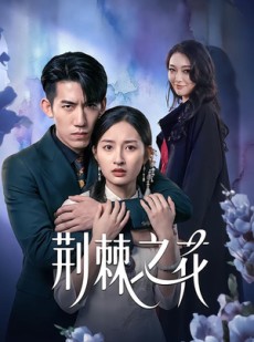 短剧《荆棘之花》100集短剧全集高清在线播放