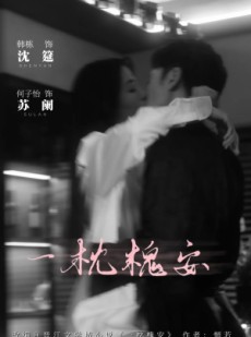 短剧《一枕槐安》80集短剧全剧高清无广告在线看