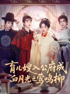 短剧《育儿嫂入公府成白月光之莺鸣柳》84集短剧免费在线看至大结局
