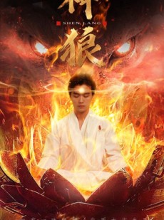 短剧《神狼》80集短剧每日更新追剧无忧观看