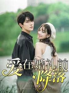 短剧《爱在婚礼前降落》50集短剧全集高清无删减版观看