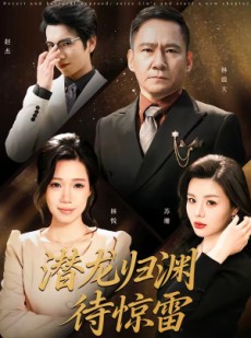 短剧《潜龙归渊待惊雷》75集短剧超清画质畅享观看