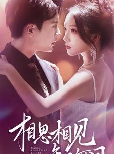 短剧《相思相见知何日》81集短剧官方正版全集在线观看