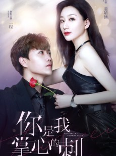 短剧《你是我掌心的刺》100集短剧官方正版全集免费畅看