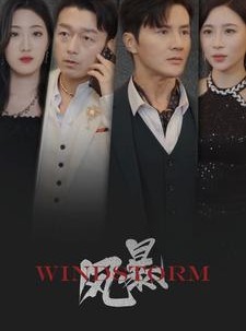 短剧《风暴》77集短剧全集剧情在线流畅追完