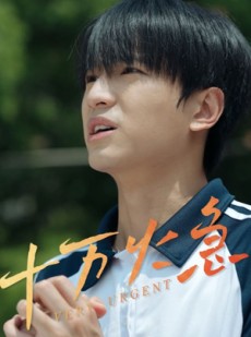 短剧《十万火急》30集短剧独家资源抢先观看