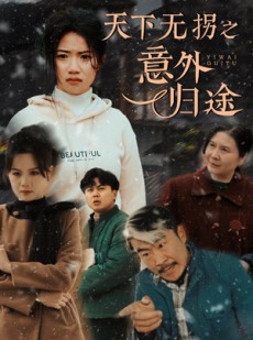 短剧《天下无拐之意外归途》61集短剧极速播放无广告