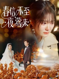 短剧《春信不至夜莺来》50集短剧高清流畅在线免费观看