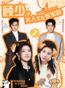 短剧《顾少，夫人又在拆家啦》78集短剧免费高清全集在线速看