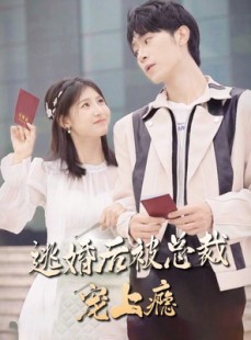 短剧《逃婚后被总裁宠上瘾》77集短剧高清流畅在线免费看