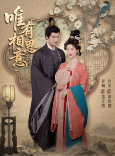 短剧《唯有相思意》100集短剧免费在线观看完整版