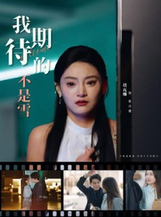 短剧《我期待的不是雪》30集短剧超清画质在线观看