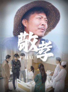 短剧《敬孝》61集短剧高清流畅在线免费看