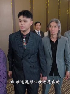 短剧《白夜追凶之龙兄虎弟》80集短剧蓝光画质一键解锁