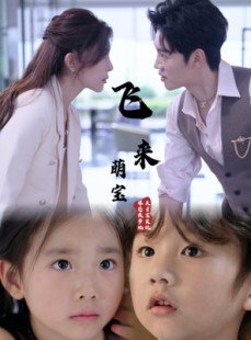 短剧《飞来萌宝》81集短剧蓝光画质无广告观看