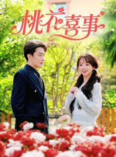 短剧《桃花喜事》63集短剧1080P在线免费观全集