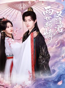 短剧《两世断情又逢君》71集短剧高清流畅在线追