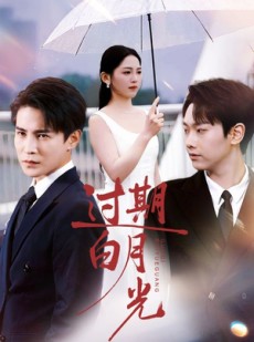 短剧《过期白月光》80集短剧超清无删减全集观看