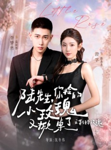 短剧《太子爷的小玫瑰又掀桌了》68集短剧免费观看完整版剧情