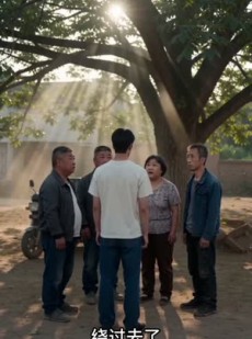 短剧《桥塌了，全村慌了！》30集短剧全集无删减免费看
