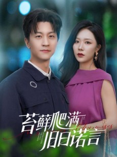 短剧《苔藓爬满旧日诺言》83集短剧蓝光画质全集免费欣赏
