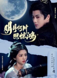短剧《明月何时照惊鸿》80集短剧无广告完整版在线观看