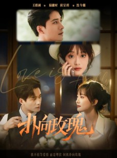 短剧《扑向玫瑰》77集短剧高清流畅在线免费观看